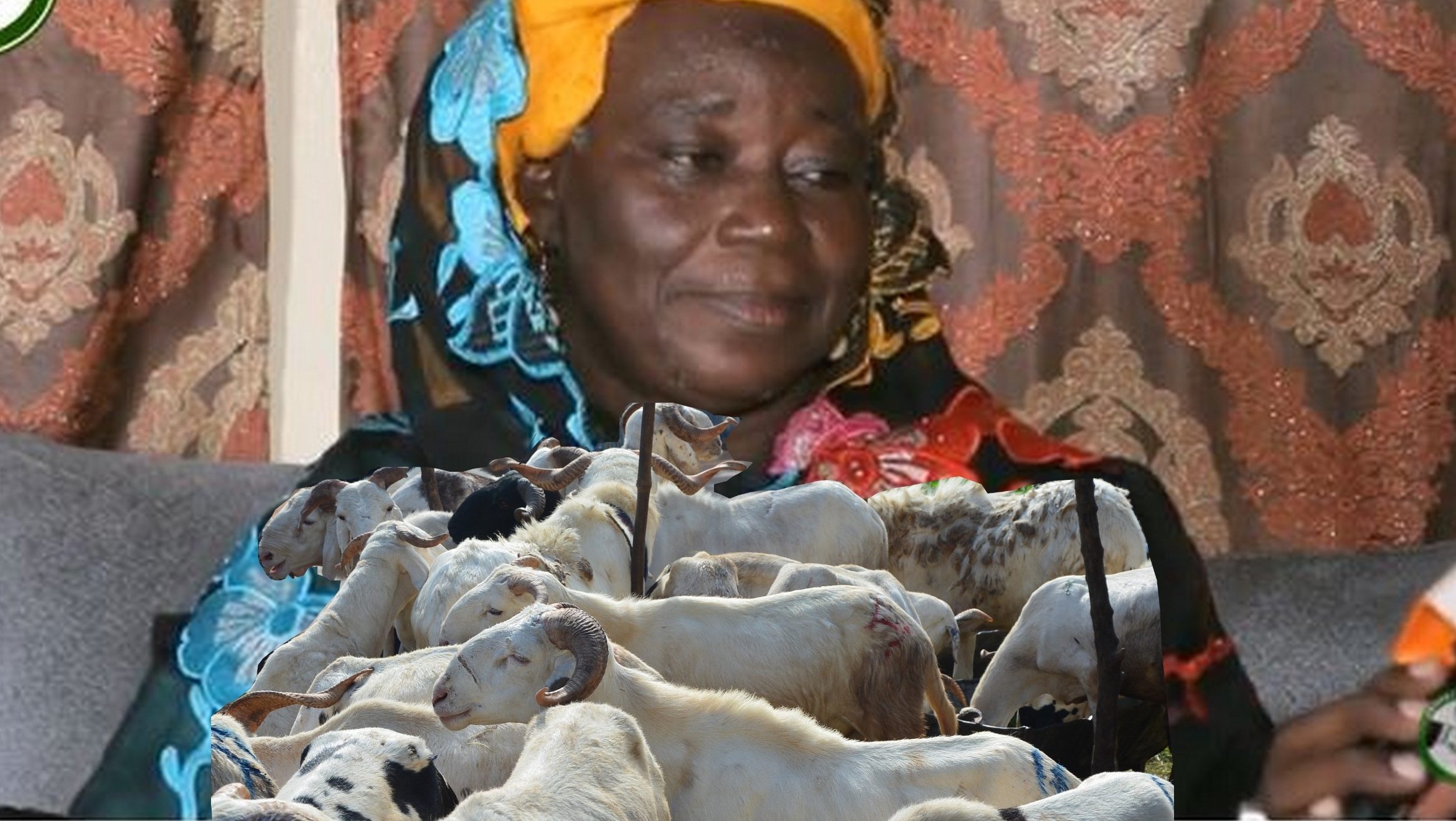 (Vidéo) Cette présidente de « Daral » révèle la cause de la pénurie de moutons à la Tabaski