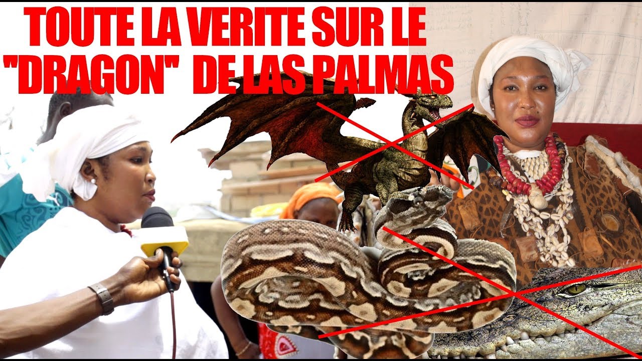 Vidéo-Las Palmas: ce n’est ni un crocodile, ni un serpent, encore moins un dragon…